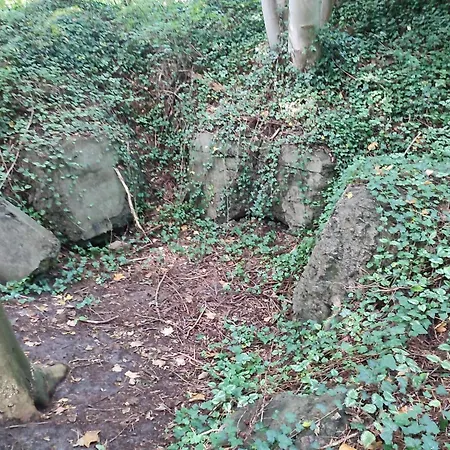 6 Person In Toftlund-by Traum