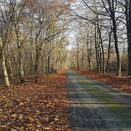 Feriehus 6 Person In Toftlund-by Traum *