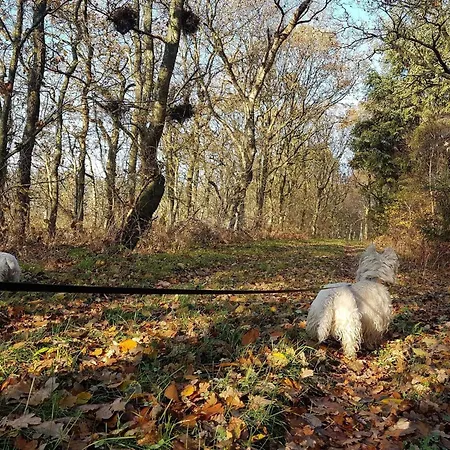 6 Person In Toftlund-by Traum * Vestergård