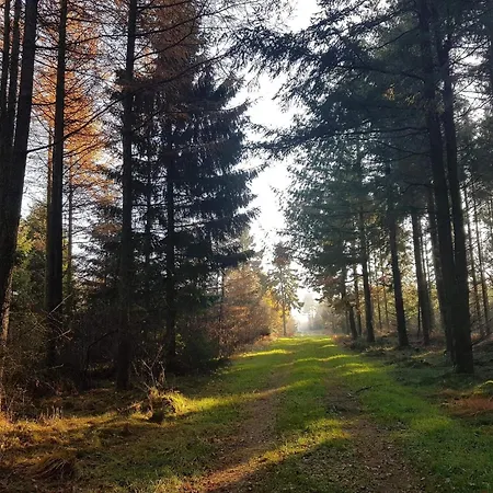 6 Person In Toftlund-by Traum *