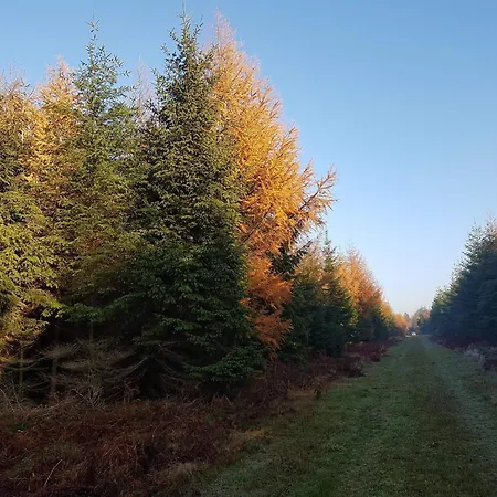 度假居 6 Person In Toftlund-by Traum