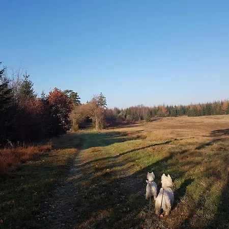 Feriehus 6 Person In Toftlund-by Traum Vestergård