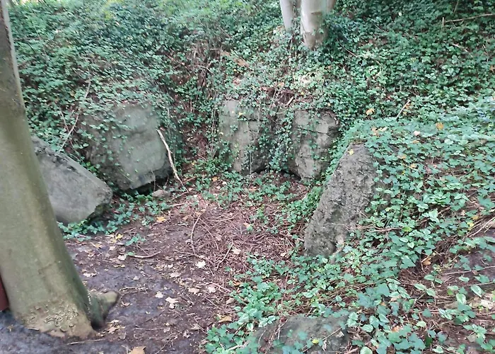 6 Person In Toftlund-by Traum