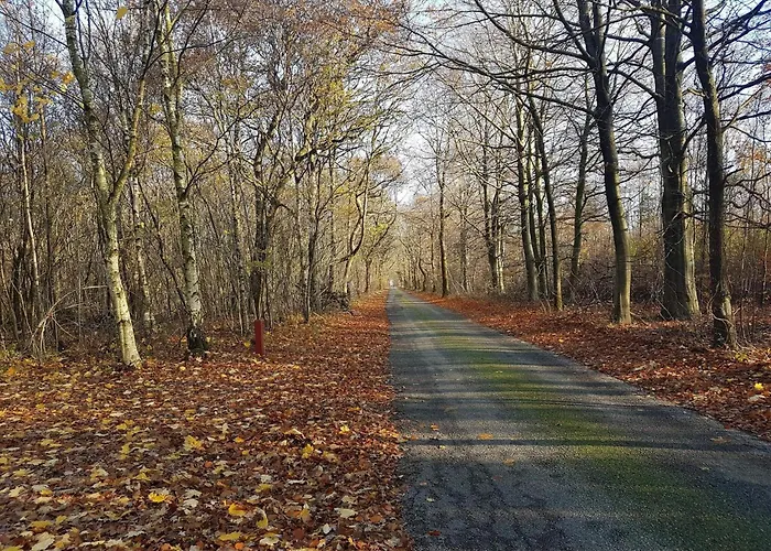 Casa vacanze 6 Person In Toftlund-by Traum *