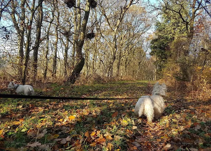 6 Person In Toftlund-by Traum * Vestergård