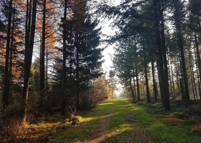 6 Person In Toftlund-by Traum *