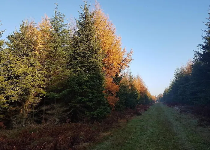 Casa vacanze 6 Person In Toftlund-by Traum