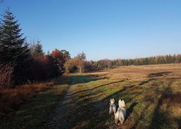 Casa vacanze 6 Person In Toftlund-by Traum Vestergård