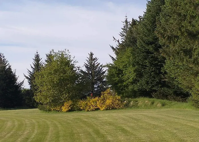 6 Person In Toftlund-by Traum *