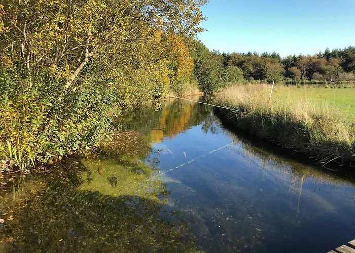6 Person In Toftlund-by Traum Vestergard